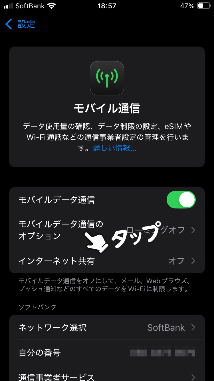 【モバイルデータ通信のオプション】