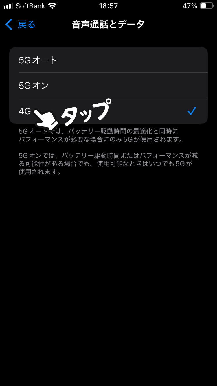 【音声通話とデータ】>「4G」を選択